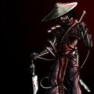 SwinDLeR