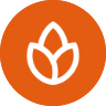 www.bonfire.com